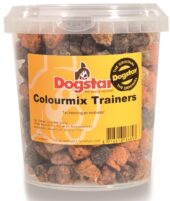 DOGSTAR COLOUR MIXTRAINERS