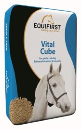 EQUIFIRST VITAL CUBE