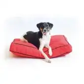 kong-rectangle-beds-small-rood-wankaswinkeltje-