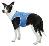 Trixie cooling vest pva blauw