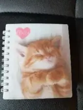 i love kittens notitieblokje